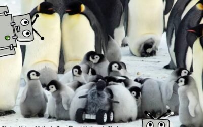 bot penguin