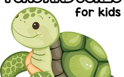 turtle puns one liners