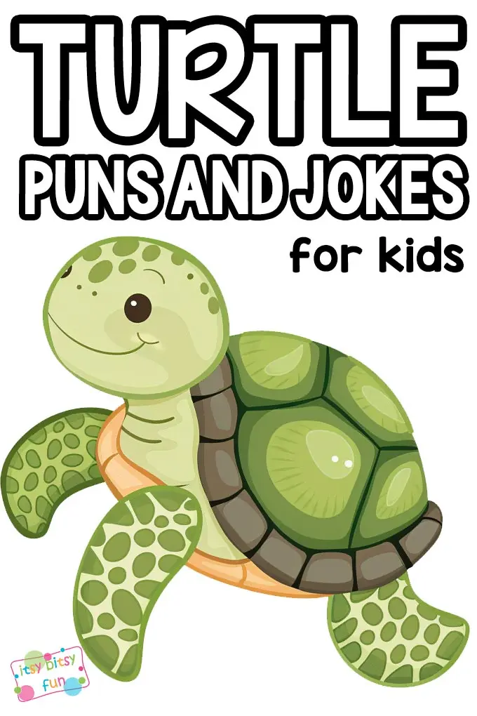 turtle puns one liners