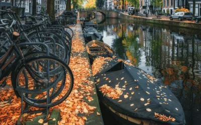 Amsterdam weather