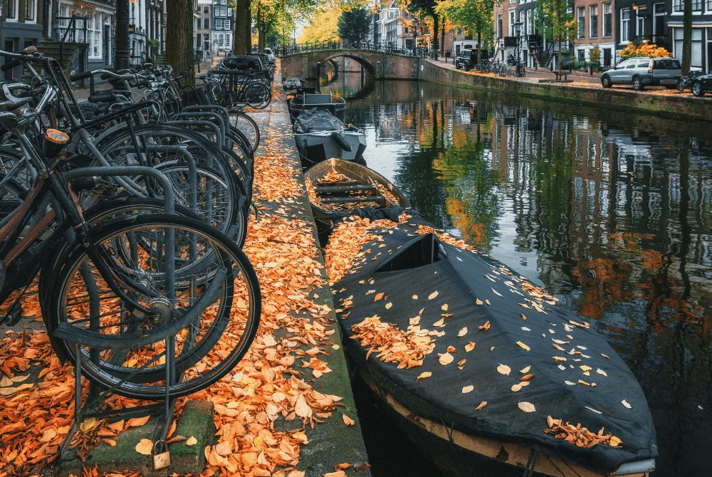 Amsterdam weather