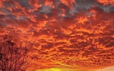 weather sherman oaks