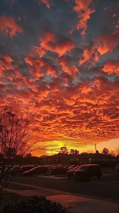 weather sherman oaks